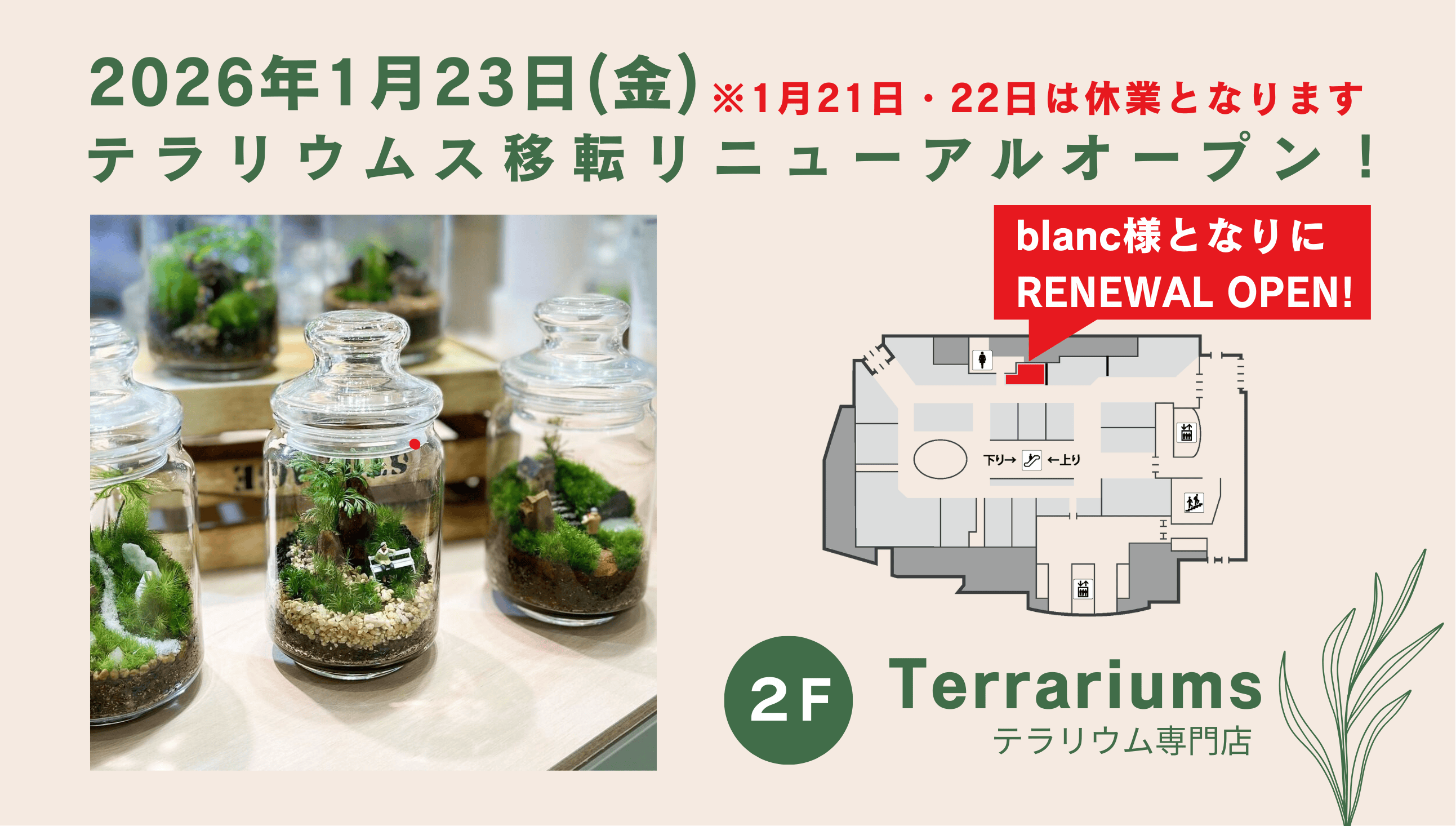 テラリウムス移転OPEN